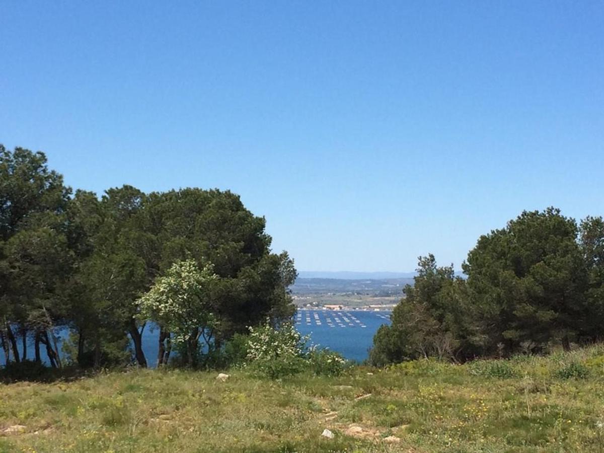 3P Climatise Avec Parking, Piscine, Proche Plage Et Commerces A Sete - Fr-1-338-497 Bagian luar foto